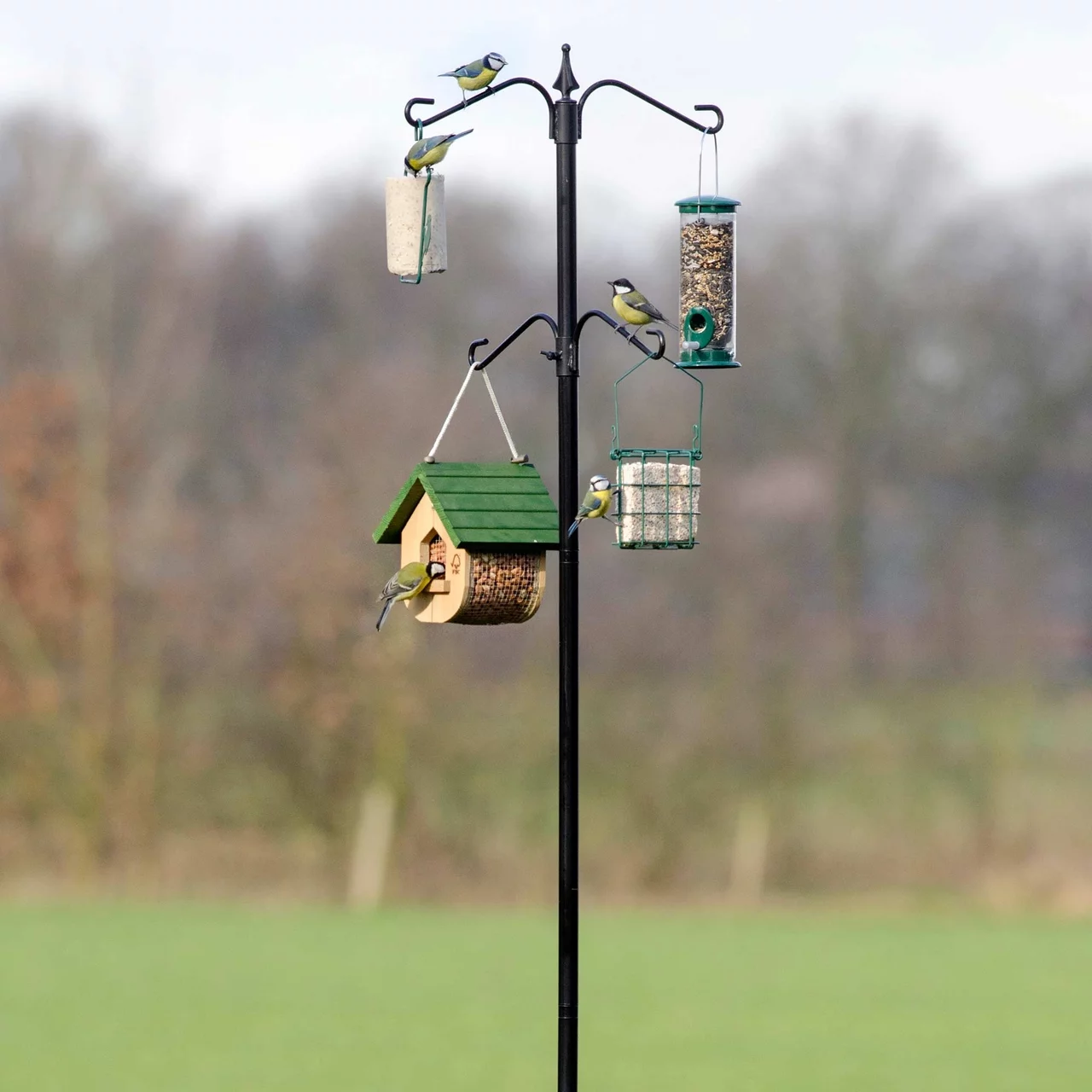 © CJ WildBird Foods Ltd